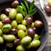 IlSaloneDiMilano Ingredient Olive Oil