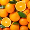 IlSaloneDiMilano Ingredient Orange Extract