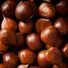 IlSaloneDiMilano Ingredient Chestnut Extract