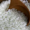 IlSaloneDiMilano Ingredient Rice Extract